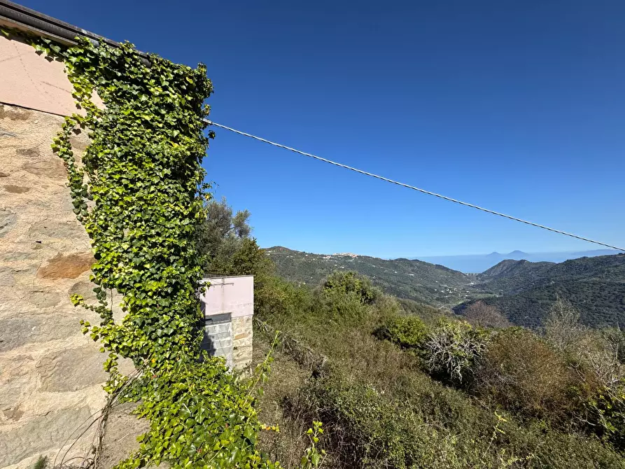 Immagine 18 di Azienda agricola in vendita  in santa venera snc a Sinagra