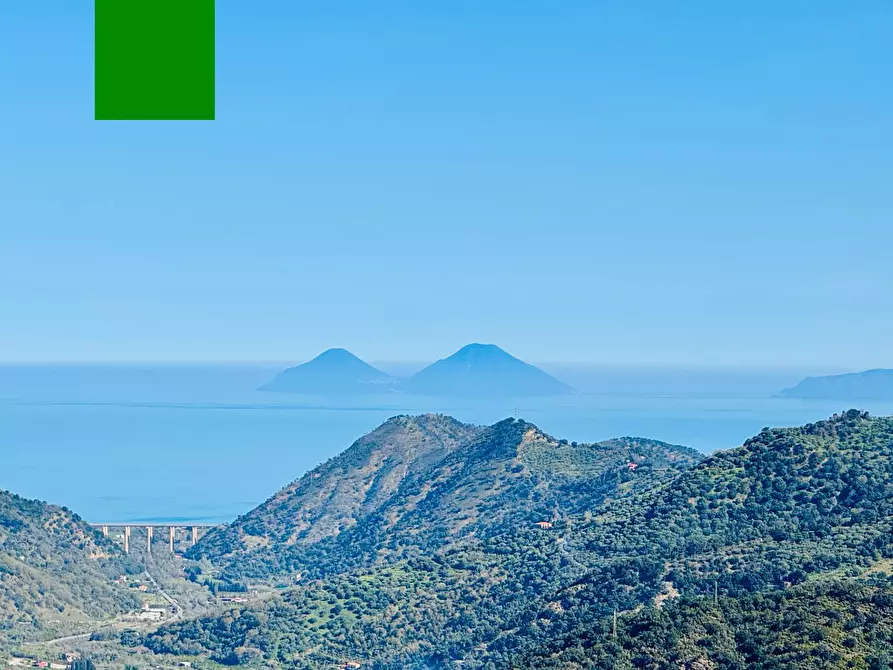 Immagine 21 di Azienda agricola in vendita  in santa venera snc a Sinagra