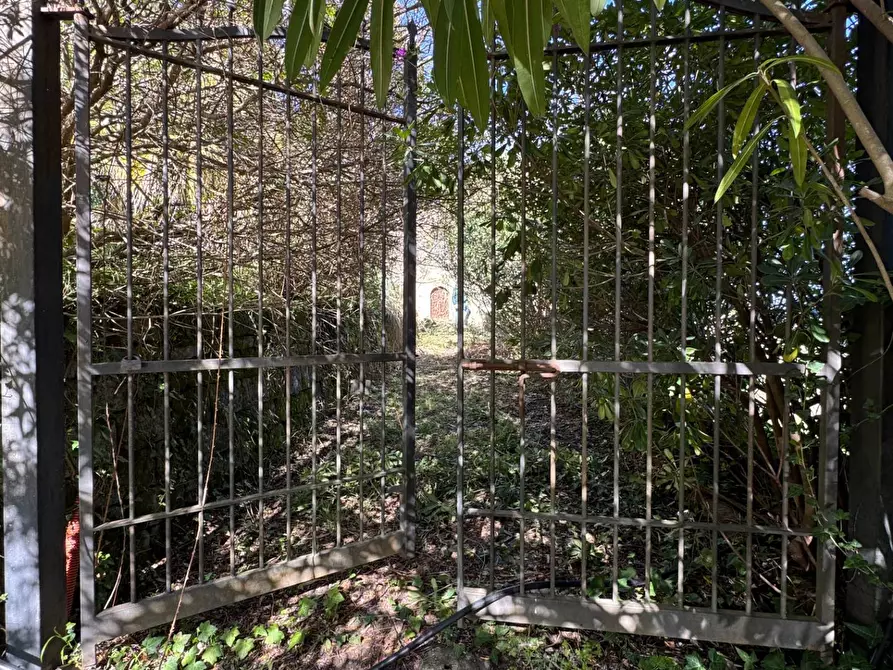 Immagine 22 di Azienda agricola in vendita  in santa venera snc a Sinagra