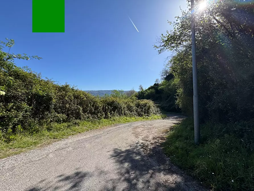 Immagine 25 di Azienda agricola in vendita  in santa venera snc a Sinagra
