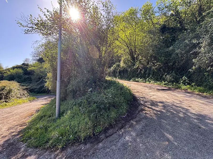 Immagine 26 di Azienda agricola in vendita  in santa venera snc a Sinagra