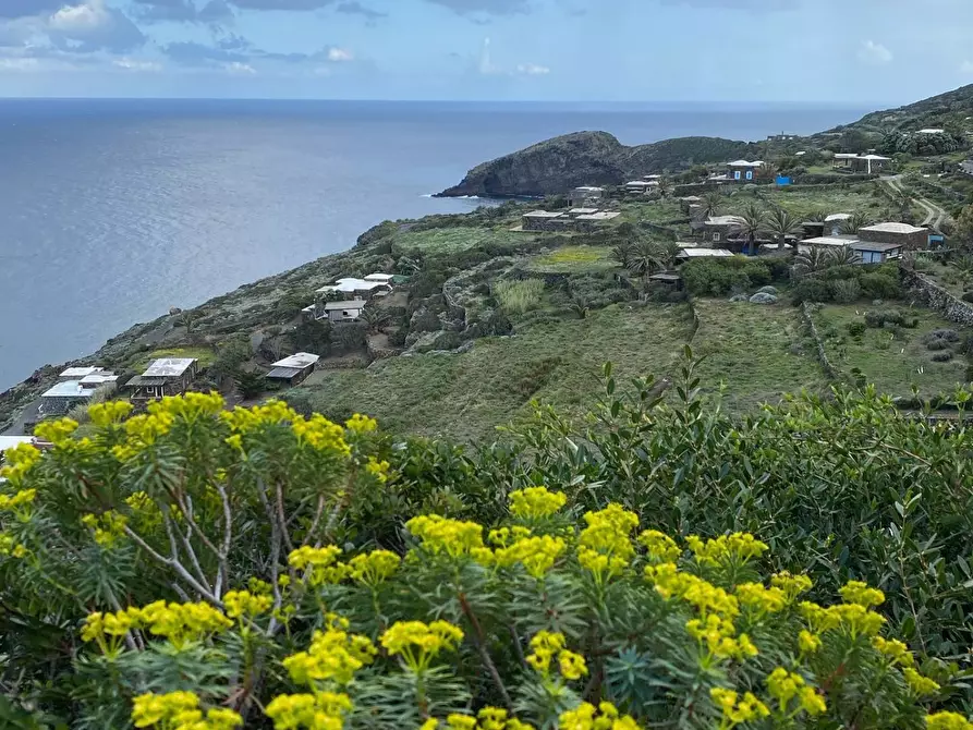 Immagine 14 di Villa in vendita  in via Le Cale snc a Pantelleria