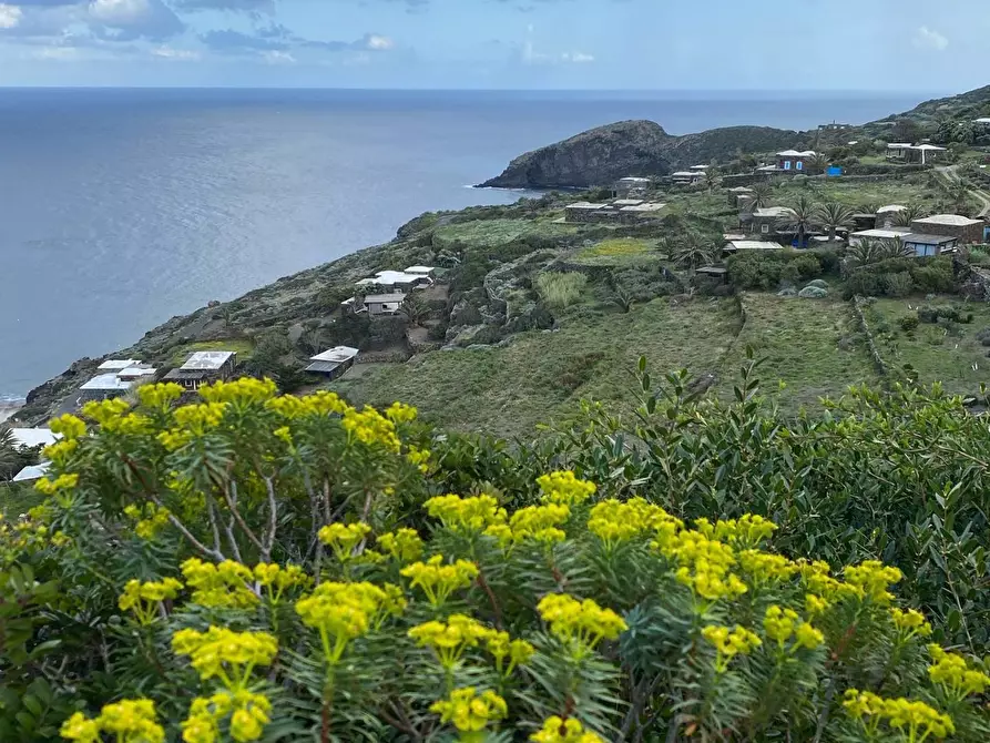 Immagine 37 di Villa in vendita  in via Le Cale snc a Pantelleria