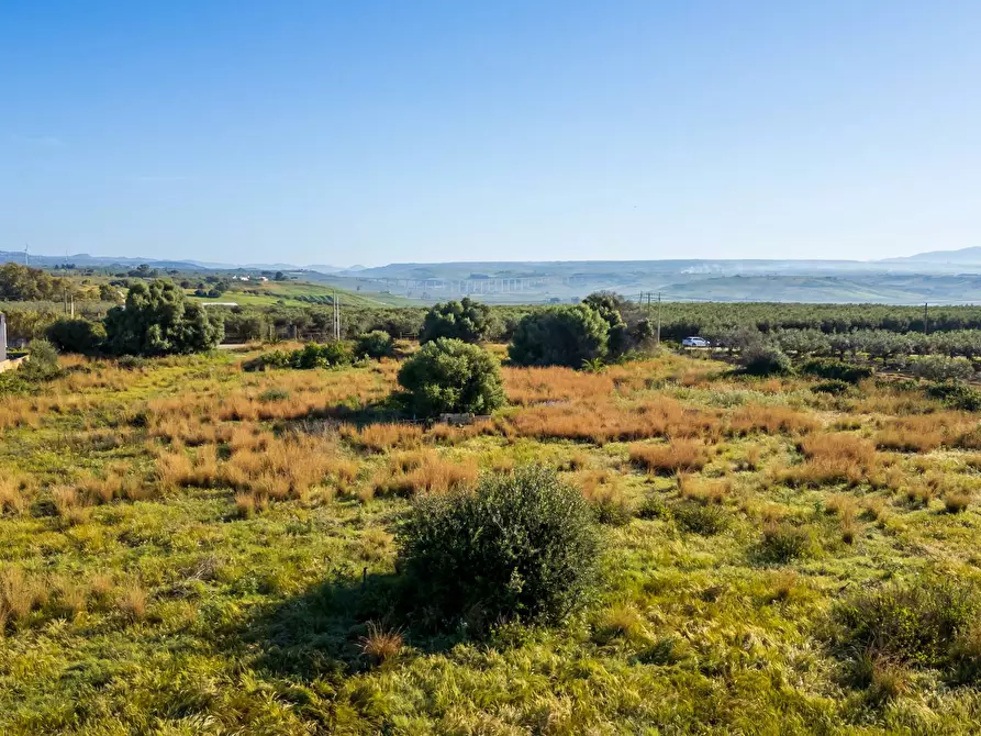 Immagine 4 di Terreno residenziale in vendita  in Contrada Marinella Trenta Salme snc a Castelvetrano