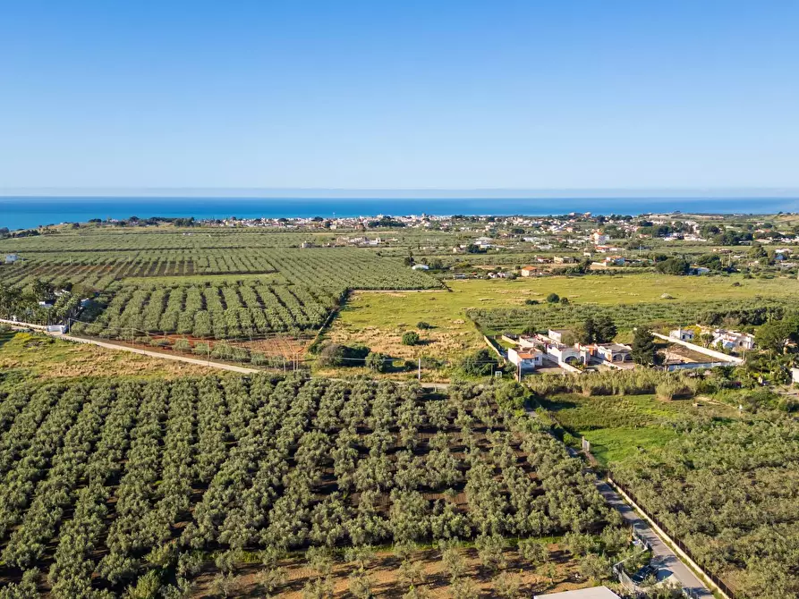 Immagine 5 di Terreno residenziale in vendita  in Contrada Marinella Trenta Salme snc a Castelvetrano