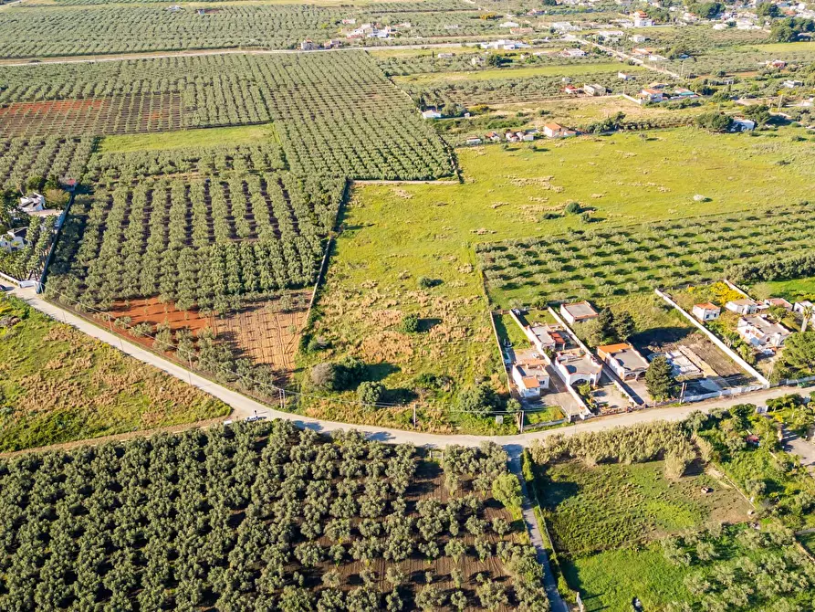 Immagine 3 di Terreno residenziale in vendita  in Contrada Marinella Trenta Salme snc a Castelvetrano