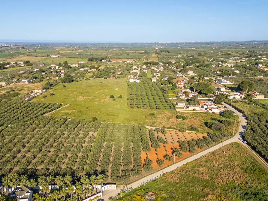 Immagine 6 di Terreno residenziale in vendita  in Contrada Marinella Trenta Salme snc a Castelvetrano