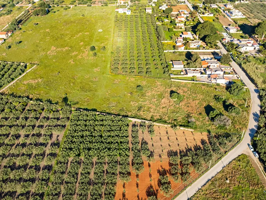 Immagine 7 di Terreno residenziale in vendita  in Contrada Marinella Trenta Salme snc a Castelvetrano