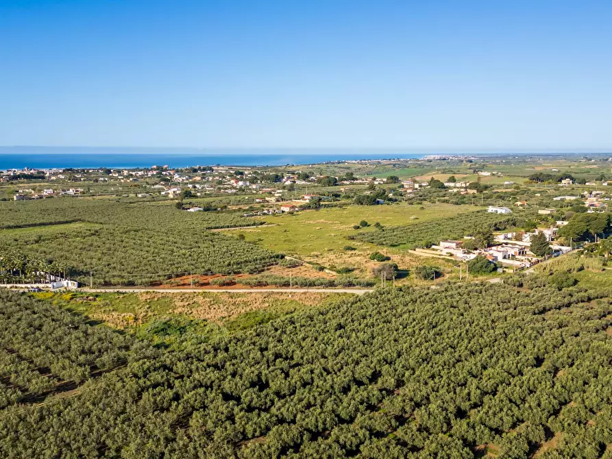 Immagine 9 di Terreno residenziale in vendita  in Contrada Marinella Trenta Salme snc a Castelvetrano