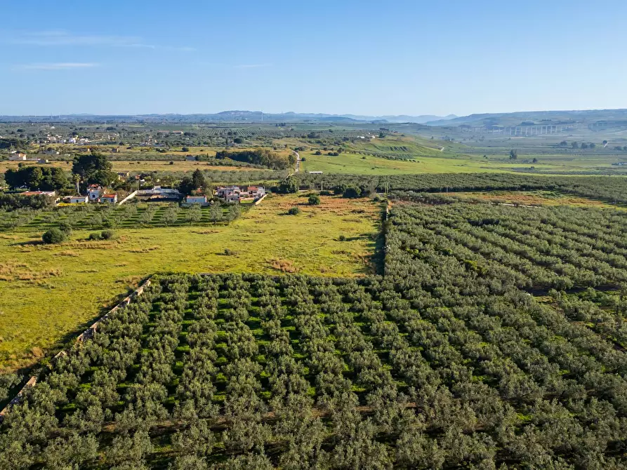 Immagine 10 di Terreno residenziale in vendita  in Contrada Marinella Trenta Salme snc a Castelvetrano