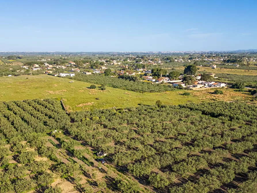 Immagine 11 di Terreno residenziale in vendita  in Contrada Marinella Trenta Salme snc a Castelvetrano