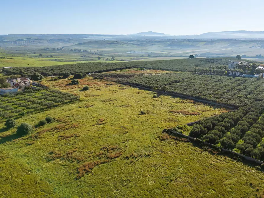 Immagine 13 di Terreno residenziale in vendita  in Contrada Marinella Trenta Salme snc a Castelvetrano