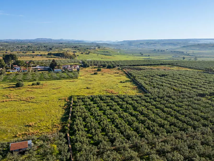Immagine 16 di Terreno residenziale in vendita  in Contrada Marinella Trenta Salme snc a Castelvetrano