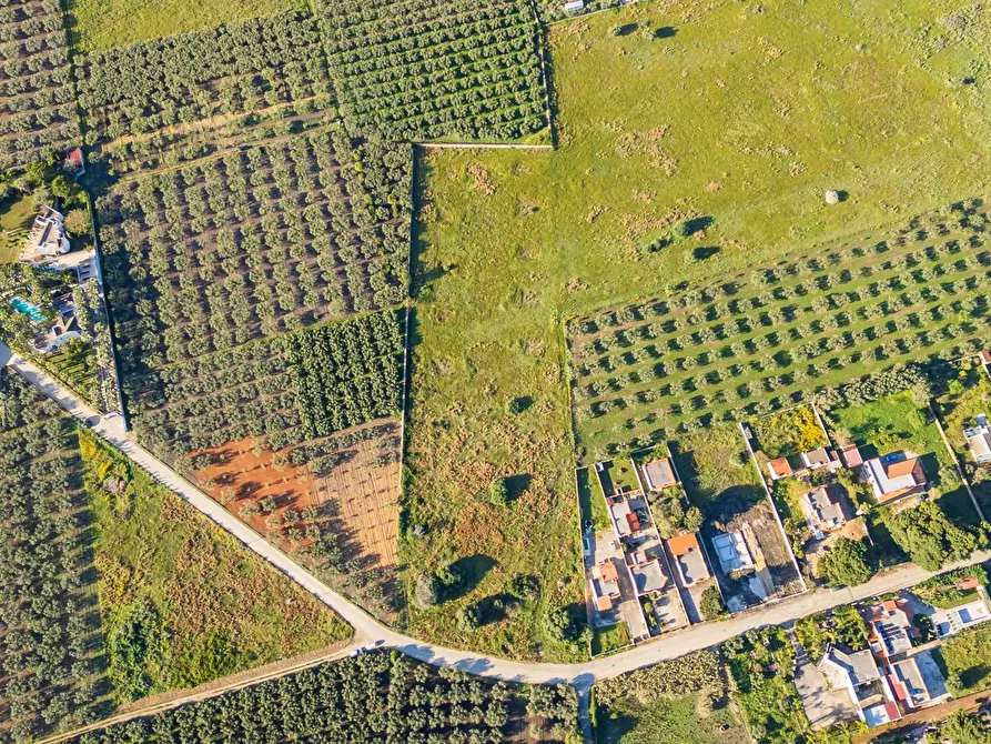 Immagine 19 di Terreno residenziale in vendita  in Contrada Marinella Trenta Salme snc a Castelvetrano