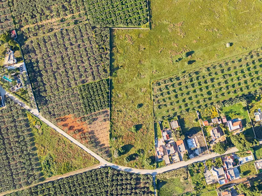 Immagine 2 di Terreno residenziale in vendita  in Contrada Marinella Trenta Salme snc a Castelvetrano