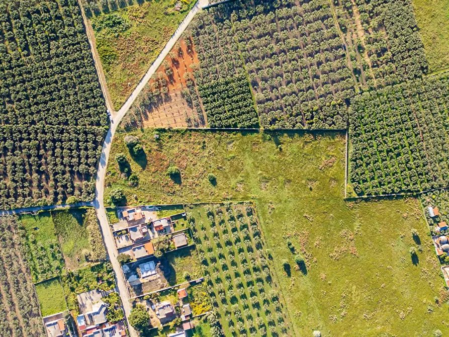 terreno edificabile in vendita a Castelvetrano in zona Marinella di Selinunte