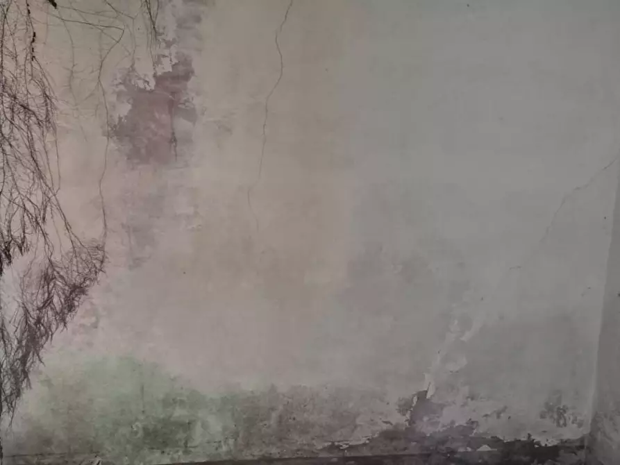 Immagine 13 di Rustico / casale in vendita  in Via Calvano snc a Fondachelli-Fantina