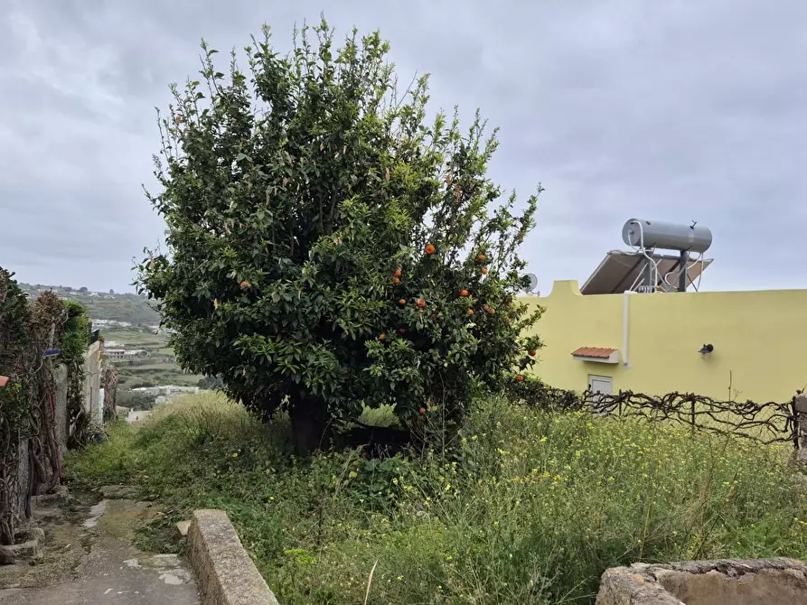 Immagine 16 di Rustico / casale in vendita  in Via Calvano snc a Fondachelli-Fantina