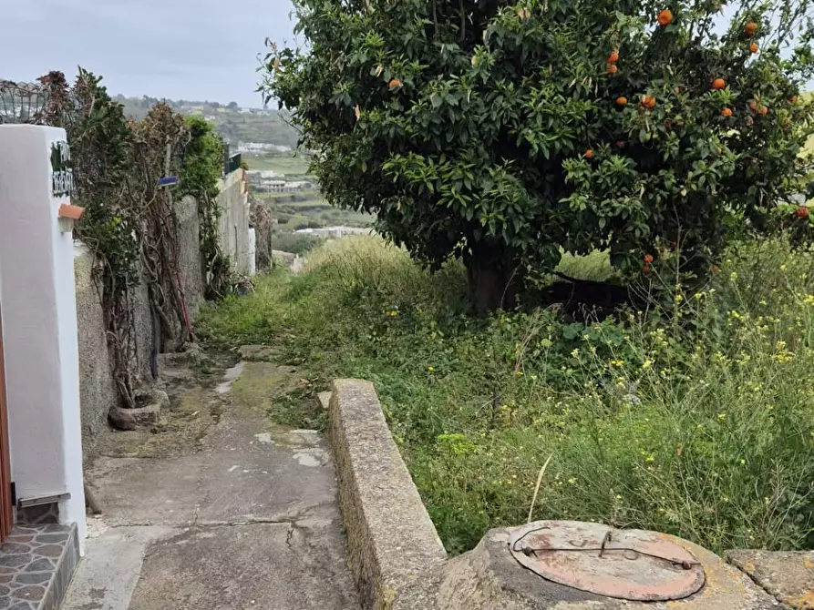Immagine 8 di Rustico / casale in vendita  in Via Calvano snc a Fondachelli-Fantina