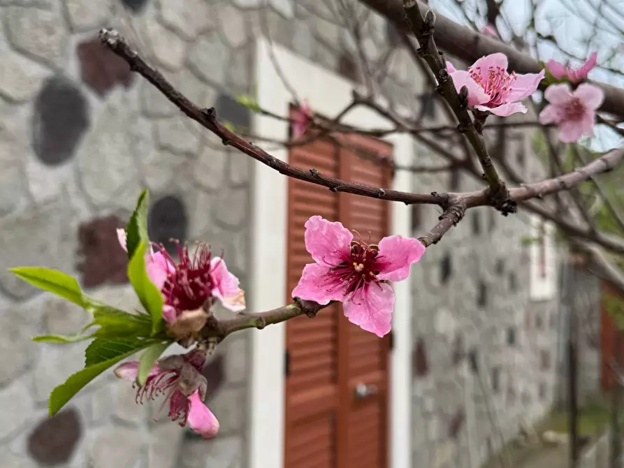 Immagine 19 di Villa in vendita  in via San Salvatore snc a Fondachelli-Fantina