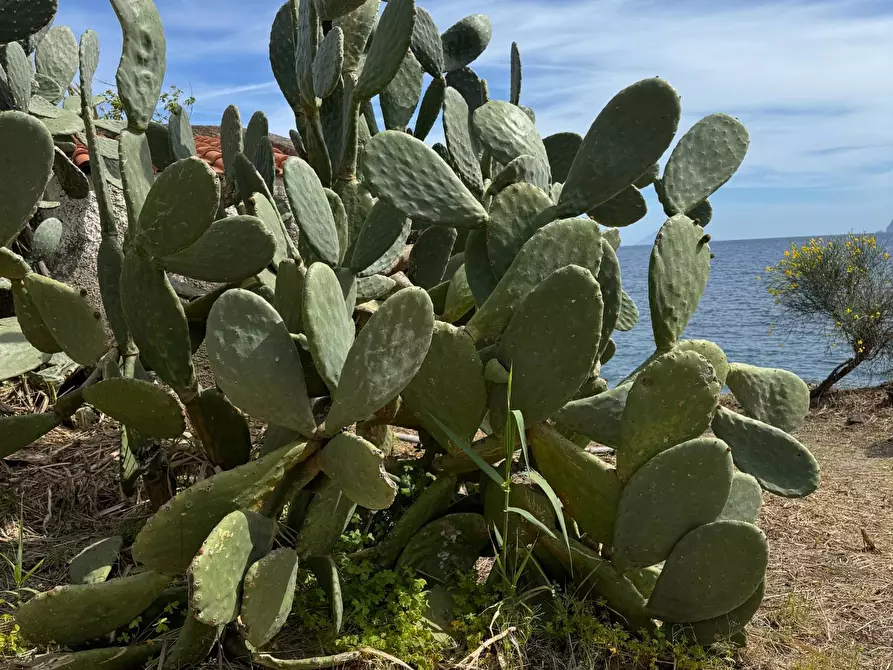 Immagine 58 di Villa in vendita  in Strada Provinciale 182 snc a Fondachelli-Fantina