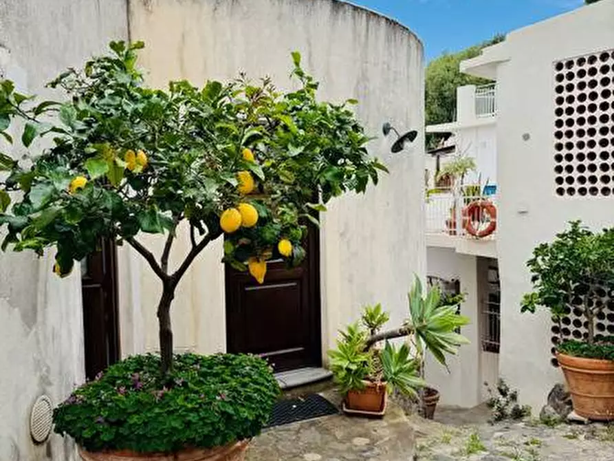 Immagine 53 di Casa indipendente in vendita  in Via Rombo 1 a Fondachelli-Fantina