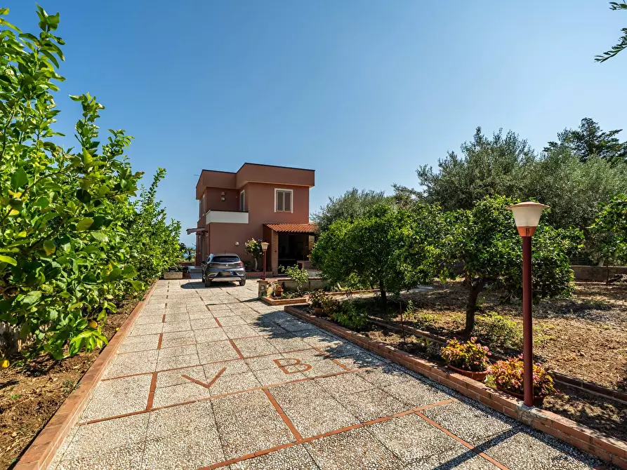 Immagine 6 di Villa in vendita  in Via Passi XIII snc a Altavilla Milicia