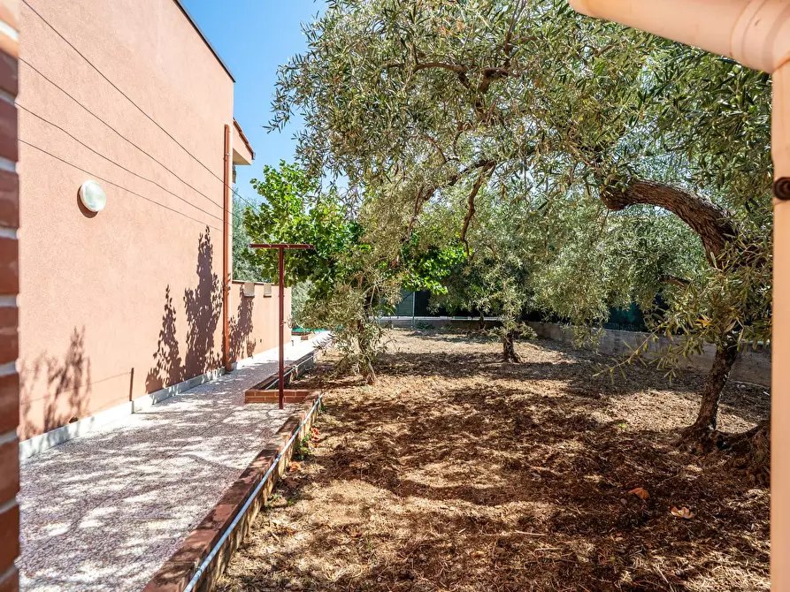 Immagine 20 di Villa in vendita  in Via Passi XIII snc a Altavilla Milicia