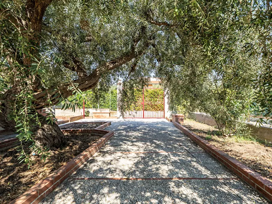 Immagine 18 di Villa in vendita  in Via Passi XIII snc a Altavilla Milicia