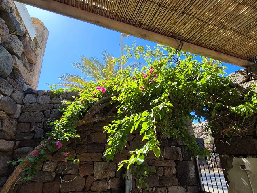 Immagine 39 di Villa in vendita  in Kania 97 a Pantelleria