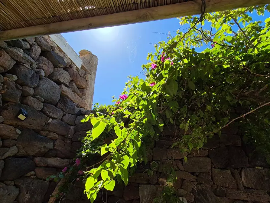 Immagine 40 di Villa in vendita  in Kania 97 a Pantelleria