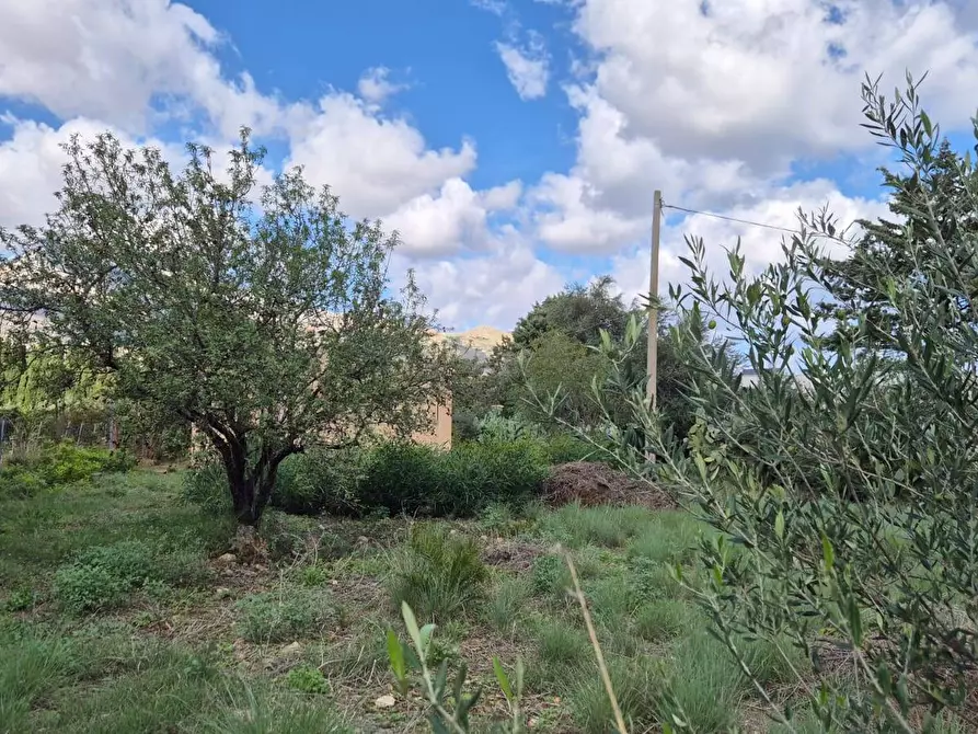 Immagine 48 di Villa in vendita  in Via Fraginesi 299/A a Castellammare Del Golfo