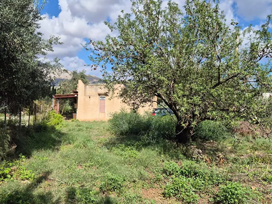 Immagine 6 di Villa in vendita  in Via Fraginesi 299/A a Castellammare Del Golfo