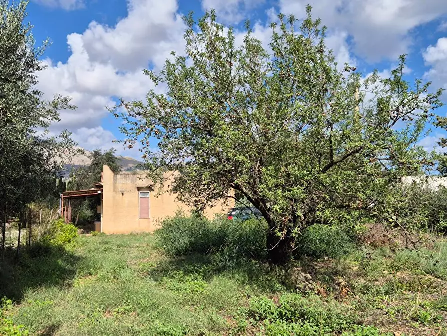 Immagine 8 di Villa in vendita  in Via Fraginesi 299/A a Castellammare Del Golfo