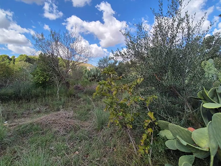 Immagine 12 di Villa in vendita  in Via Fraginesi 299/A a Castellammare Del Golfo