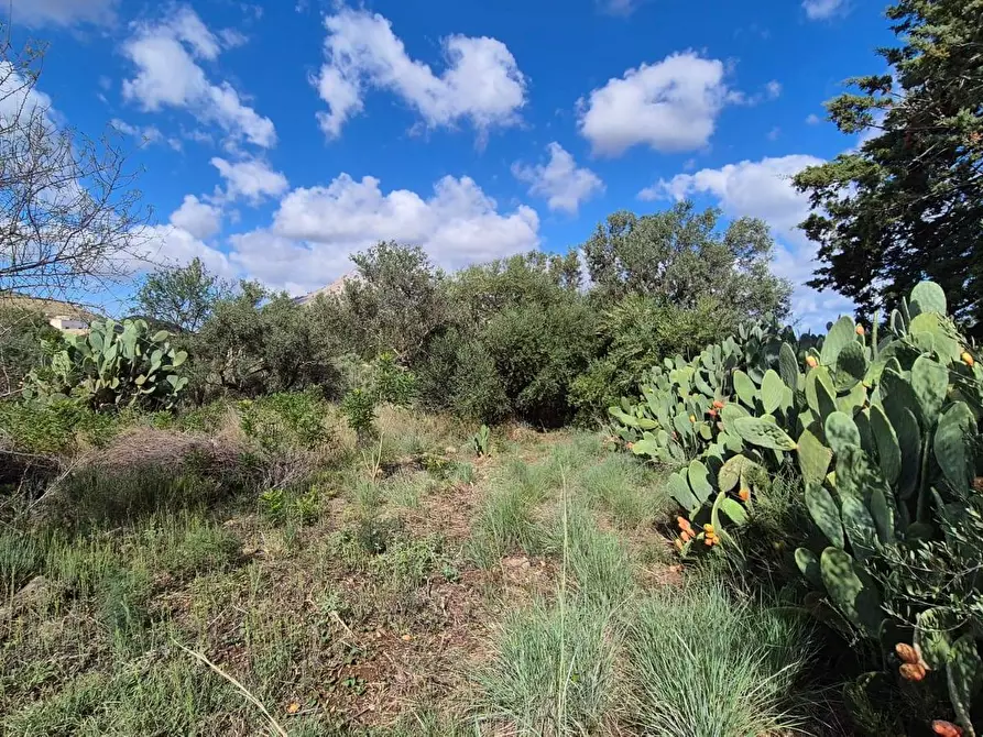 Immagine 38 di Villa in vendita  in Via Fraginesi 299/A a Castellammare Del Golfo