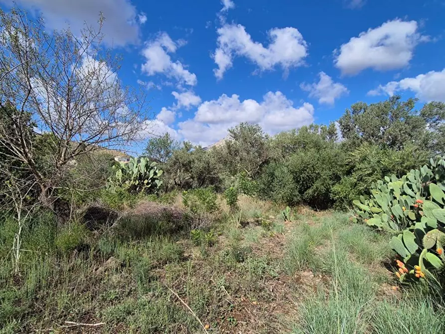 Immagine 39 di Villa in vendita  in Via Fraginesi 299/A a Castellammare Del Golfo