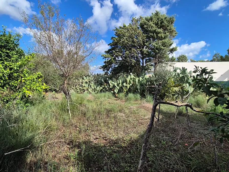 Immagine 40 di Villa in vendita  in Via Fraginesi 299/A a Castellammare Del Golfo