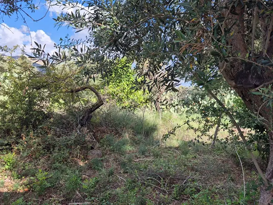 Immagine 42 di Villa in vendita  in Via Fraginesi 299/A a Castellammare Del Golfo