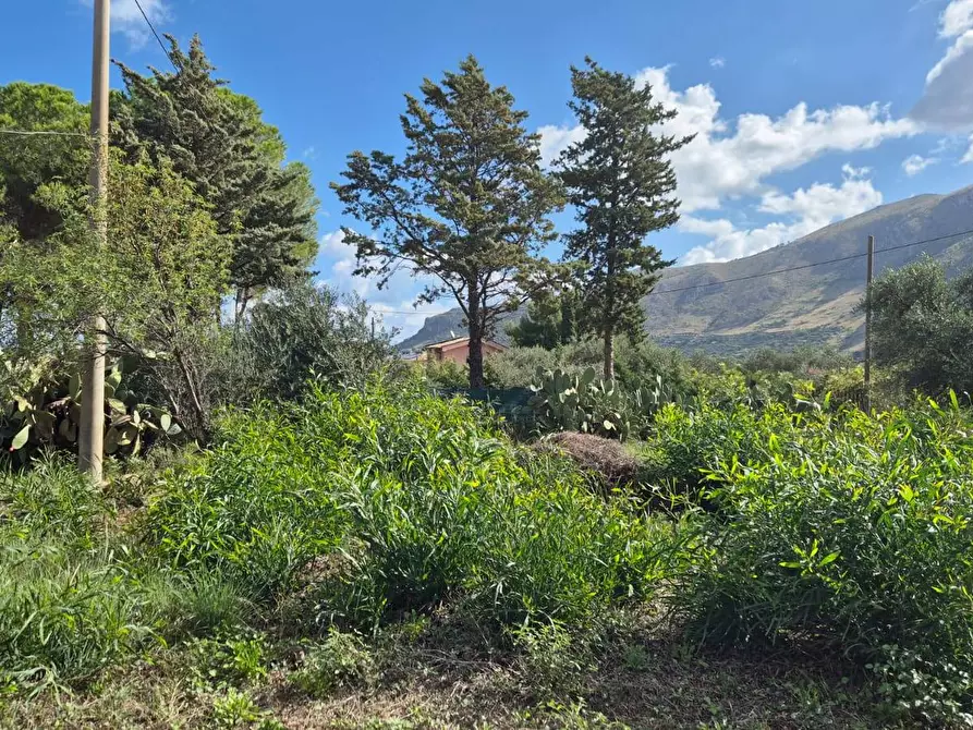 Immagine 46 di Villa in vendita  in Via Fraginesi 299/A a Castellammare Del Golfo