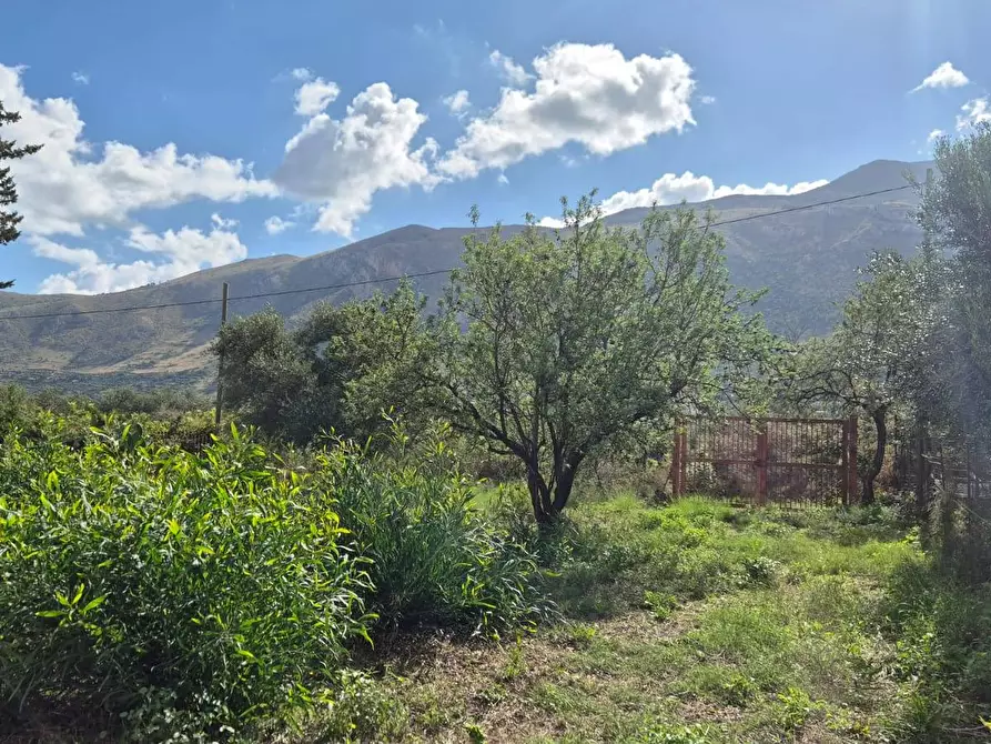 Immagine 49 di Villa in vendita  in Via Fraginesi 299/A a Castellammare Del Golfo