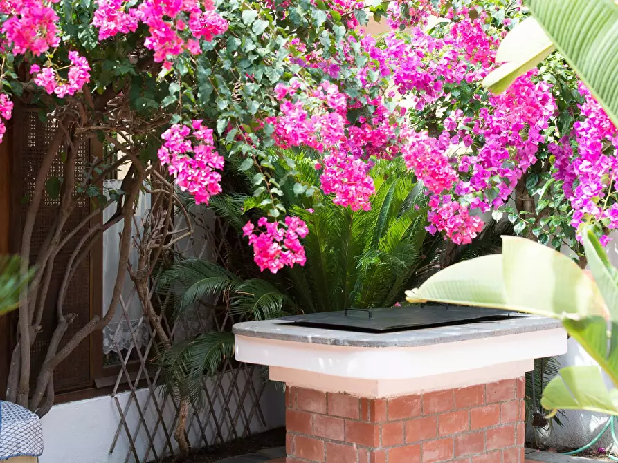 Immagine 11 di Appartamento in vendita  in Via Progresso 4 a Fondachelli-Fantina