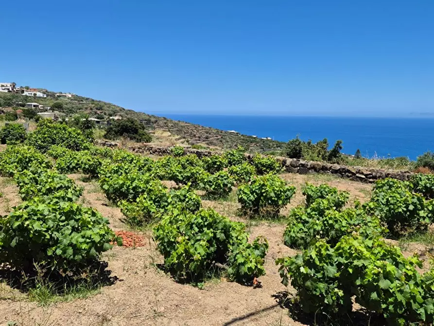 Immagine 5 di Villa in vendita  in via Marina snc a Pantelleria