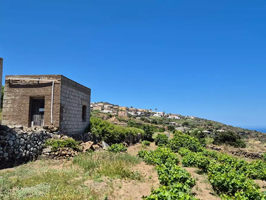 Immagine 3 di Villa in vendita  in via Marina snc a Pantelleria