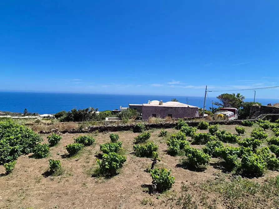 Immagine 2 di Villa in vendita  in via Marina snc a Pantelleria