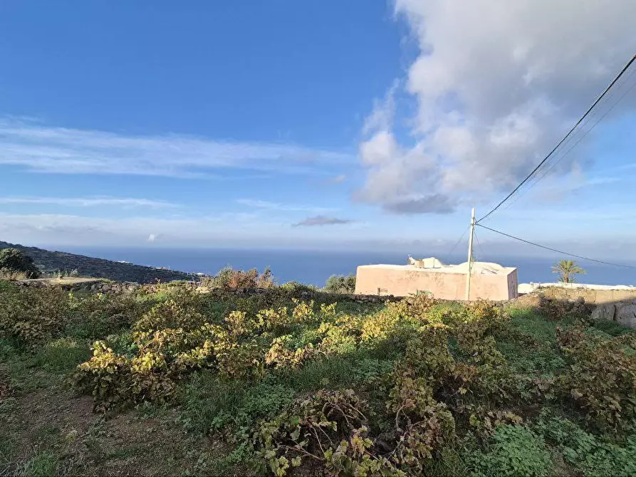 Immagine 14 di Villa in vendita  in via Marina snc a Pantelleria