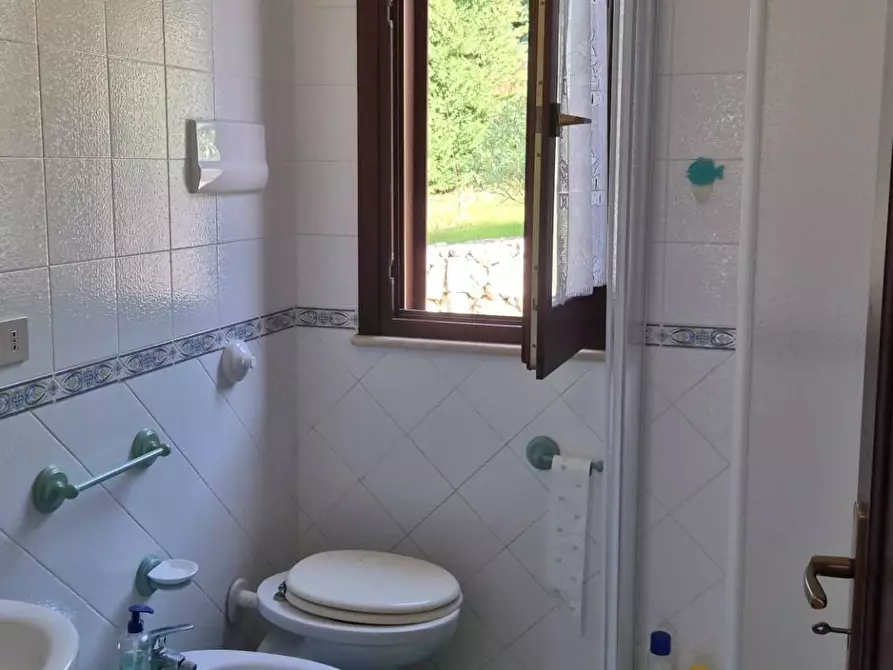 Immagine 14 di Villa in affitto  in Contrada Acquavite 1 a Castellammare Del Golfo