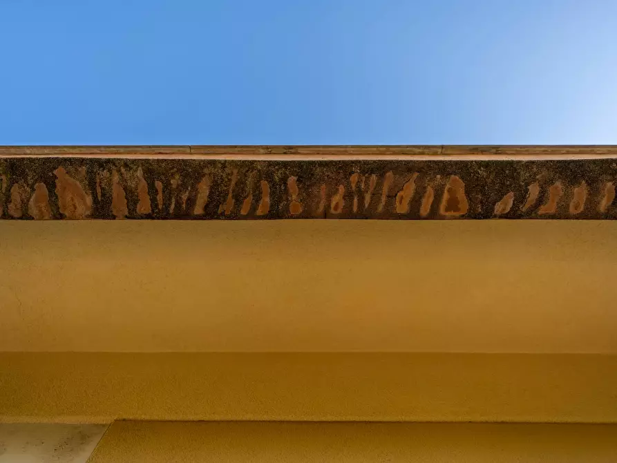 Immagine 37 di Appartamento in vendita  in Via Giuseppe Ingegneros 96 a Palermo