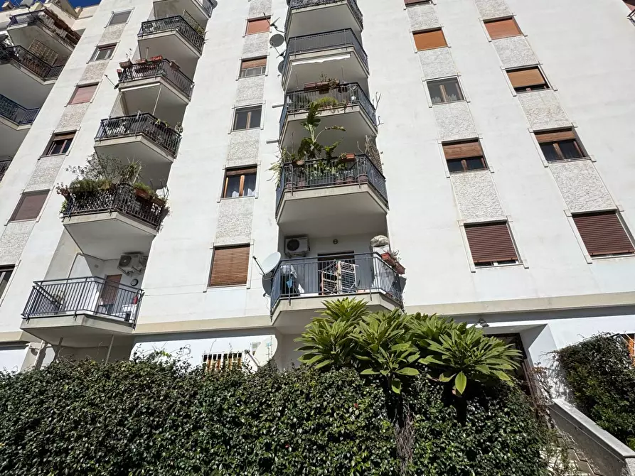 Immagine 63 di Appartamento in affitto  in Via Matteo Dominici 28 a Palermo