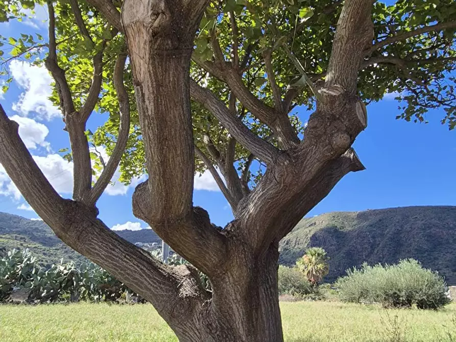 Immagine 12 di Villa in vendita  in Via Lago snc a Pantelleria
